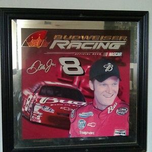 Dale Earnhardt Jr. Glass picture